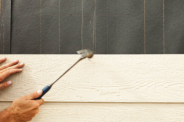 Best Custom Trim and Detailing for Siding  in Golden Valley, AZ